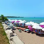 Clover Magic Park 3* Σιντέ